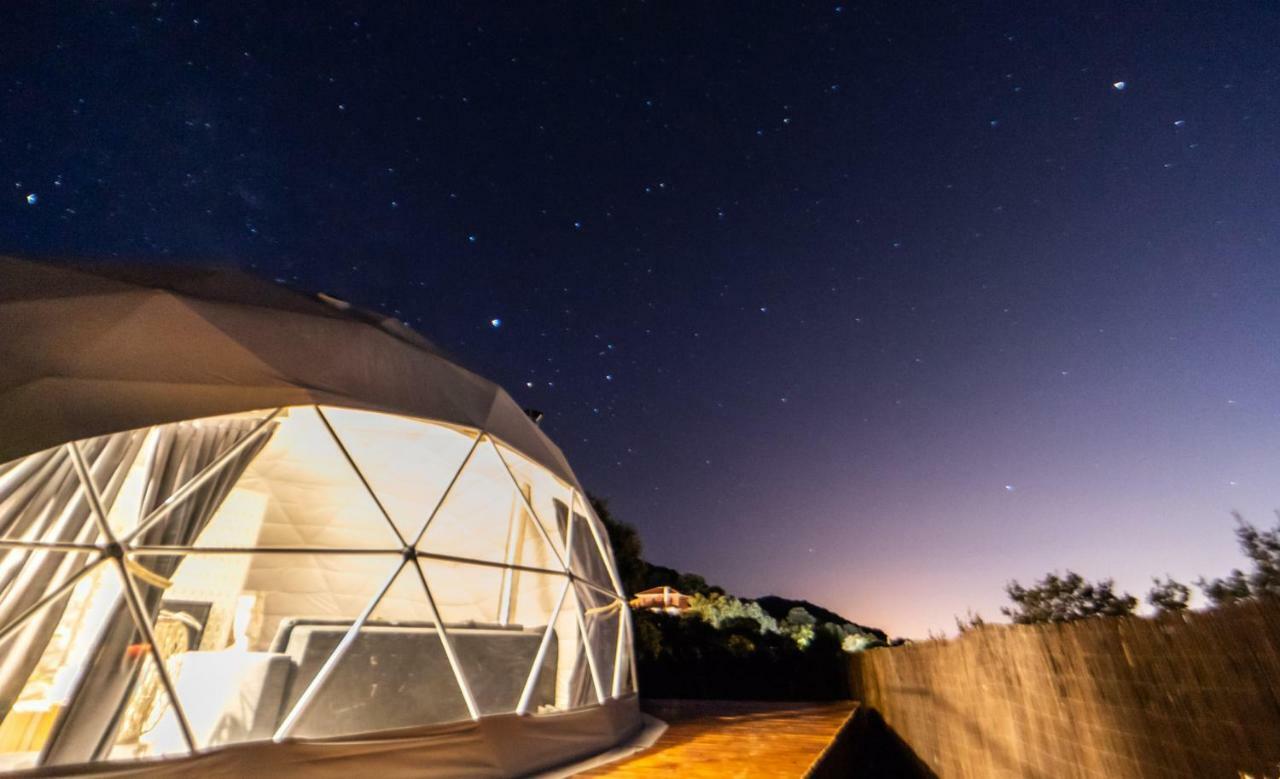 Luxury Dome Retreat *